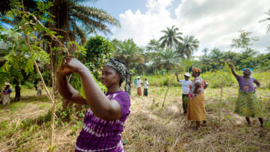 Photo of Food insecurity threatens societies, exacerbates conflicts and ‘no country is immune’