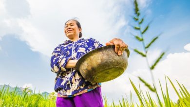 Photo of World Environment Day: Earth ‘cannot keep up with our demands’