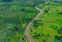 Photo of Brazil urged to step up search for missing journalist and indigenous activist