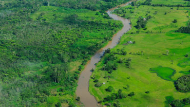 Photo of Brazil urged to step up search for missing journalist and indigenous activist