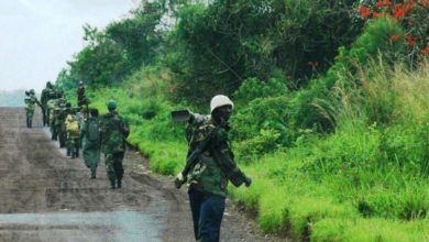 Photo of UN calls on militants in eastern DR Congo to ‘immediately cease’ civilian attacks