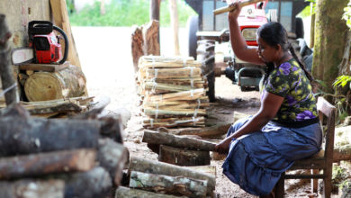 Photo of Sri Lanka: UN appeals for $47 million for life-saving aid to 1.7 million people