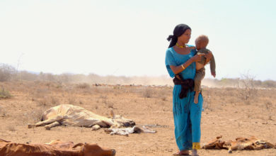 Photo of ООН: в 2021 году число голодающих в мире выросло на 46 миллионов человек