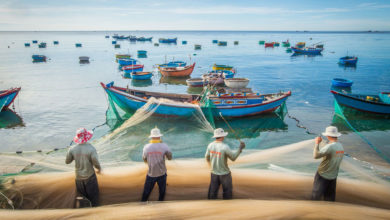 Photo of ФАО предлагает совершенствовать методы рыболовства с помощью стратегии «голубой трансформации»