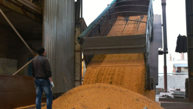 Photo of ФАО поможет украинским фермерам спасти урожай 
