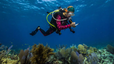 Photo of Научные исследования крайне важны для сохранения богатств мирового океана