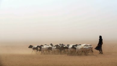 Photo of WMO: Greater Horn of Africa drought forecast to continue for fifth year 